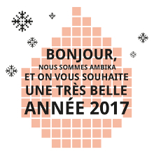 Bonne année 2017