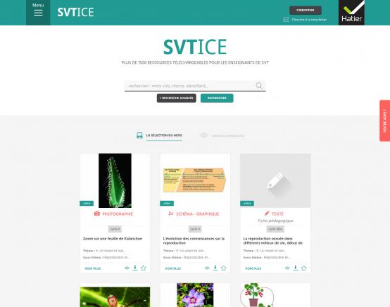 SVTice